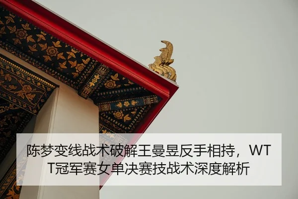 陈梦变线战术破解王曼昱反手相持，WTT冠军赛女单决赛技战术深度解析