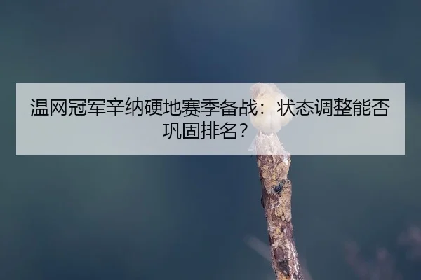 wen-wang-guan-jun-xin-na-ying-di-sai-ji-bei-zhan-zhuang-tai-tiao-zheng-neng-fou-gong-gu-pai-ming-2-452.jpg