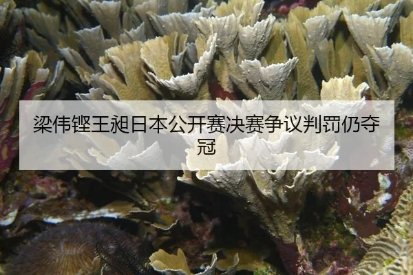 liang-wei-keng-wang-chang-ri-ben-gong-kai-sai-jue-sai-zheng-yi-pan-fa-reng-duo-guan-2-884.jpg