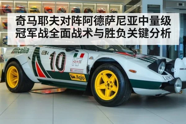 奇马耶夫对阵阿德萨尼亚中量级冠军战全面战术与胜负关键分析